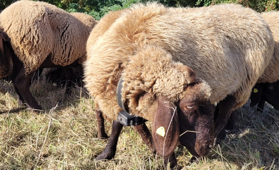 Basic Tracking - Terrain