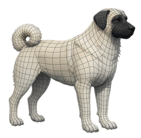 Canin
