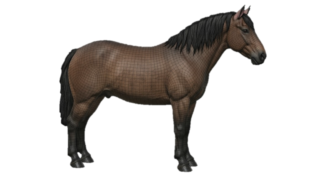 Equin