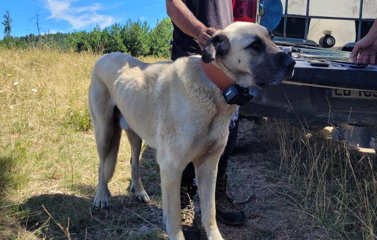 Tracking Prime - Terrain