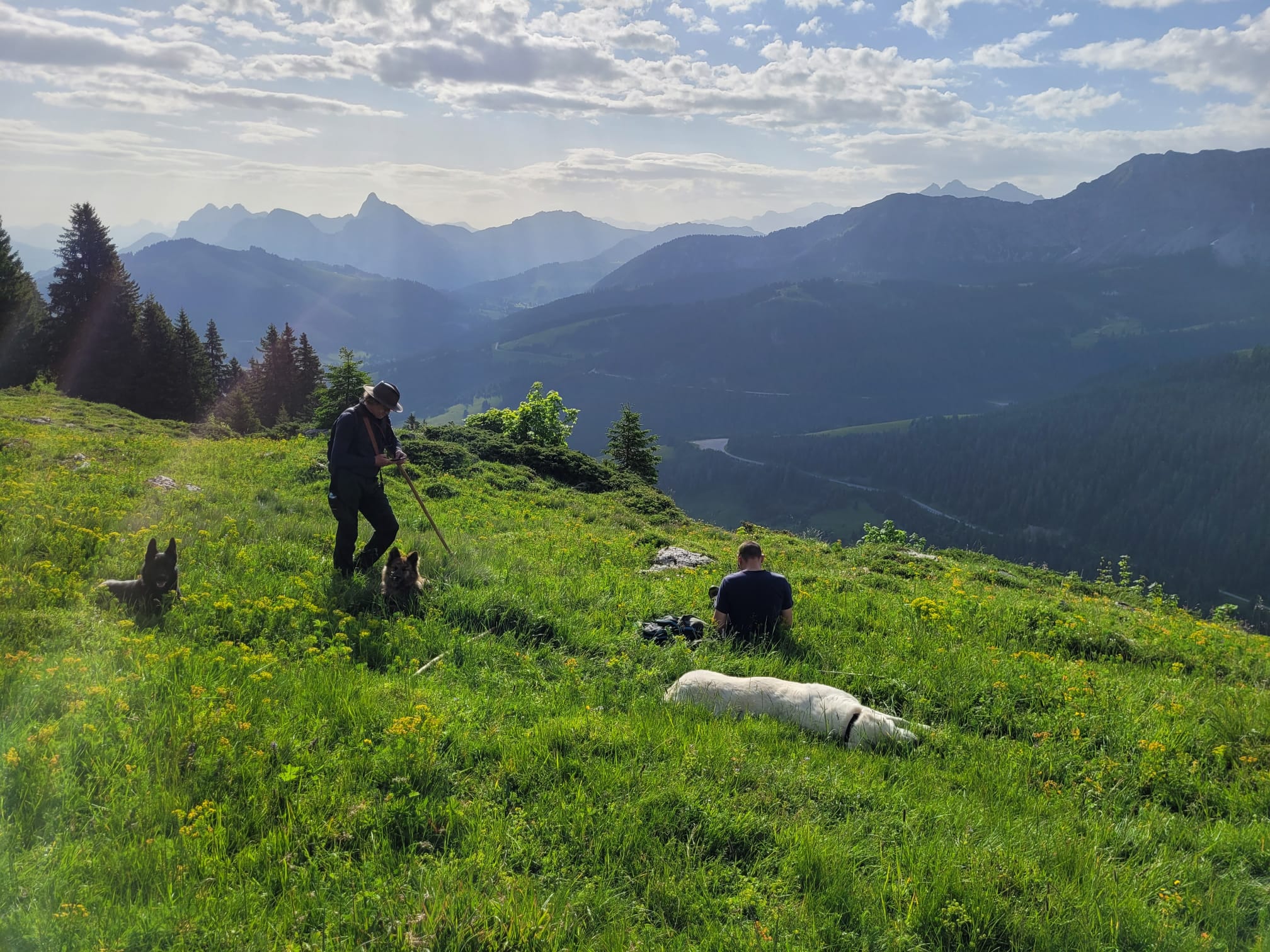 Alpes-éco